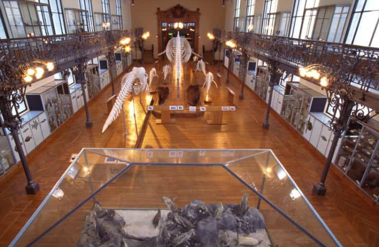 Музея на Наполеон